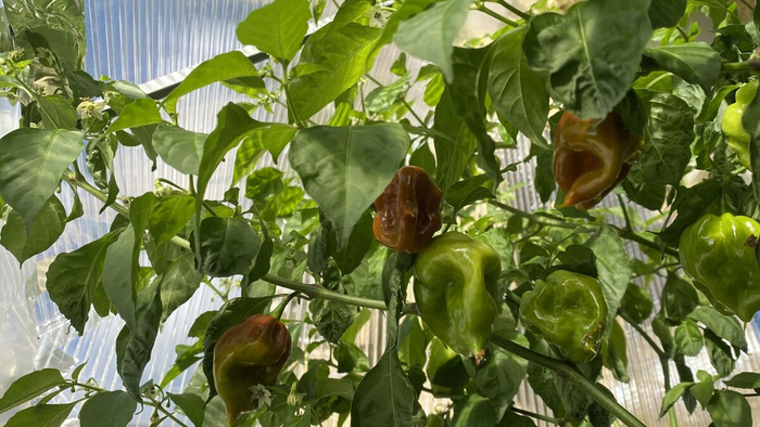 �� ���� ����� �������!