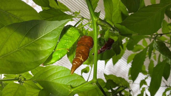 ������ �� ���������