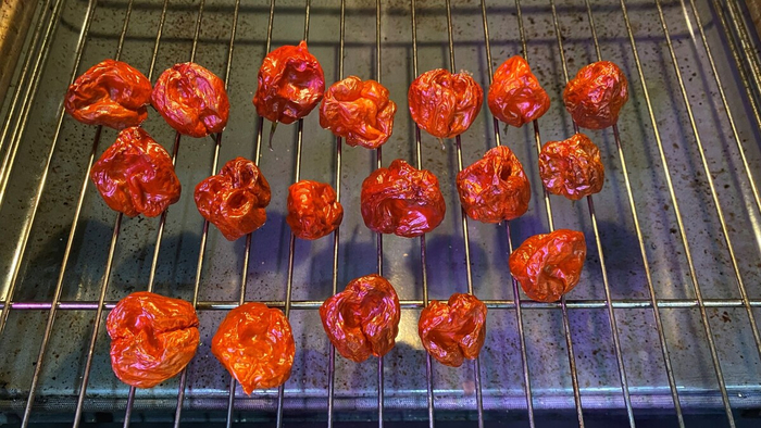 � ��� ������ � ��������