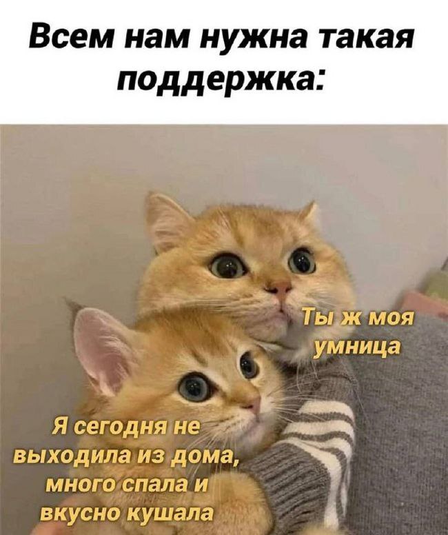 � ����� ������� ���� �� � �� ����� ��������!