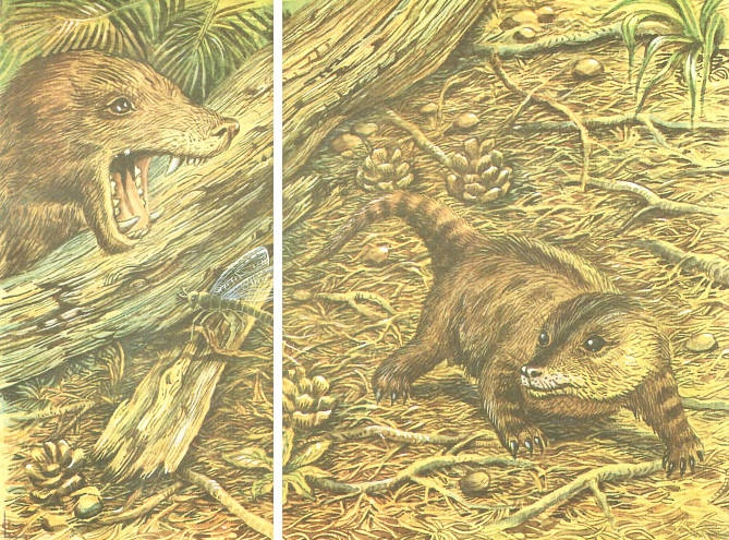 ������������ � ������ �� ��� ����� ������� ������