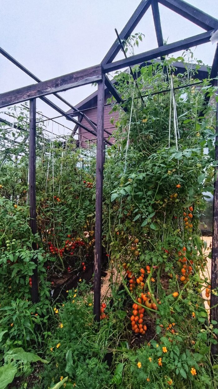 �������� ������ ��� ����������, ��� ����� ������ �����������. � � ��� ������ ��������