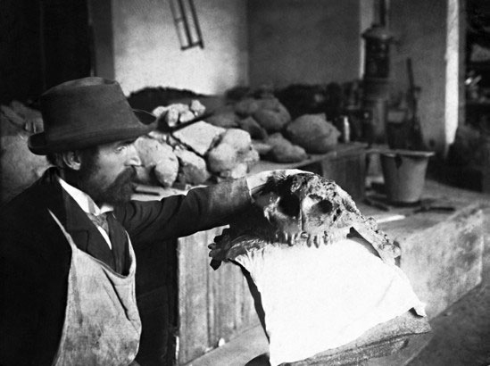 ������������� ������������������ ���������� � �������