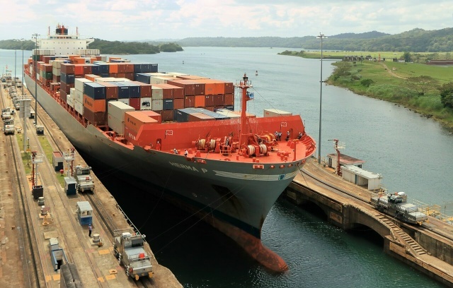 Моськи слона ведут