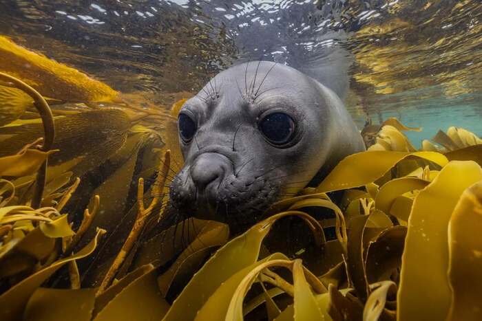 � ����� �����...