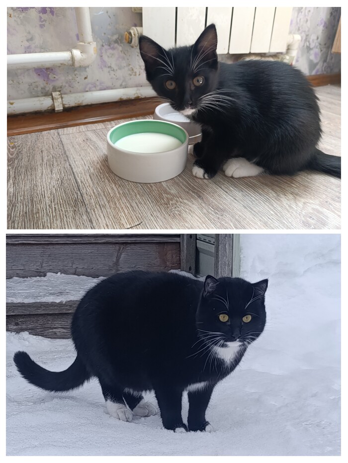 �����, ����, ������, ������ �������