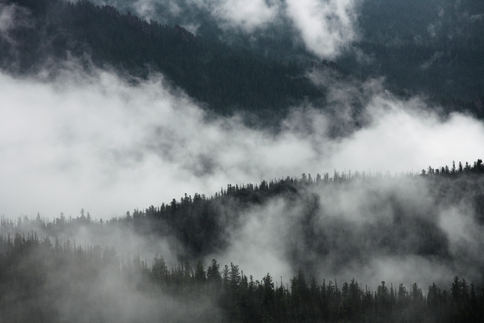 19. ������