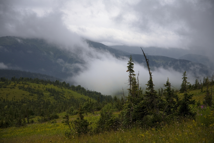 25. ����������� ���., ��������� ������