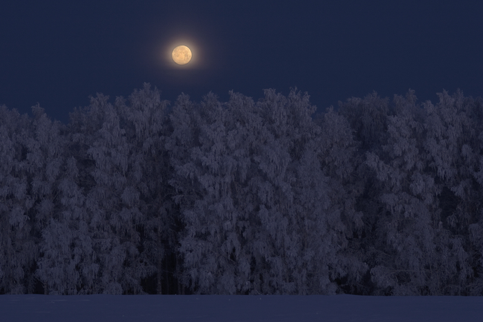 27. ������������ ����, ������������� �����