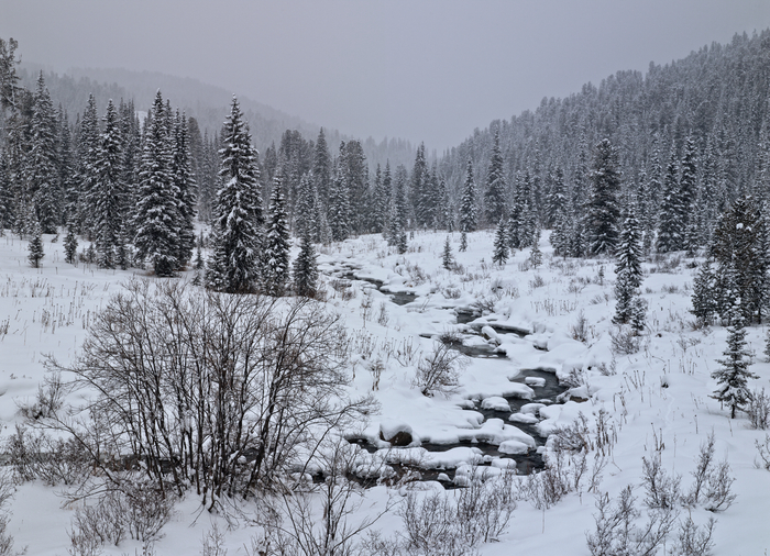 15. ������, �. ������ �����