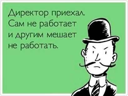 Директор приехал