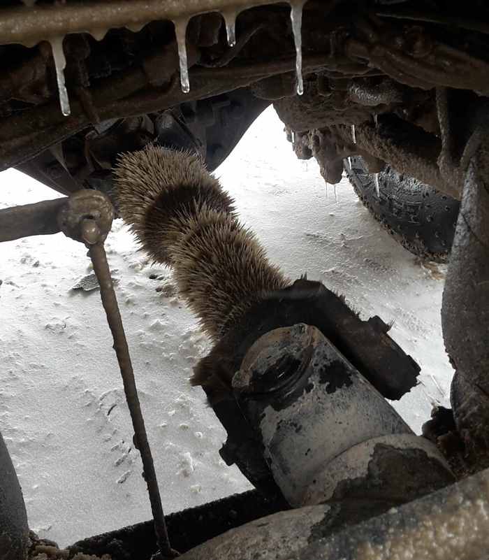 ������ ��������� � �������?