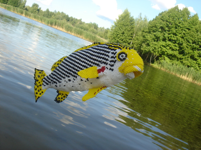 � ��� ��� ����� �������?)) ��������� ���������!