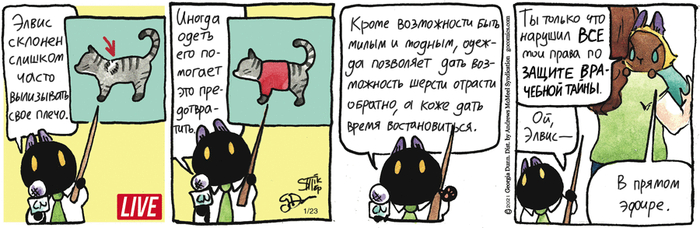 ��������� ������� �� 23.01.2026