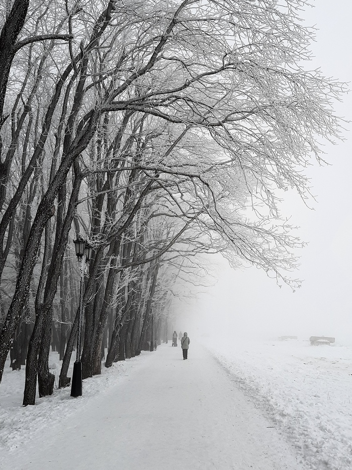 Черно-белый мир
