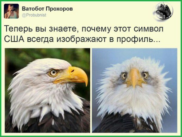 Теперь вы знаете