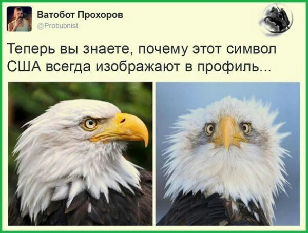 Почему символ США всегда изображают в профиль? - США, Юмор