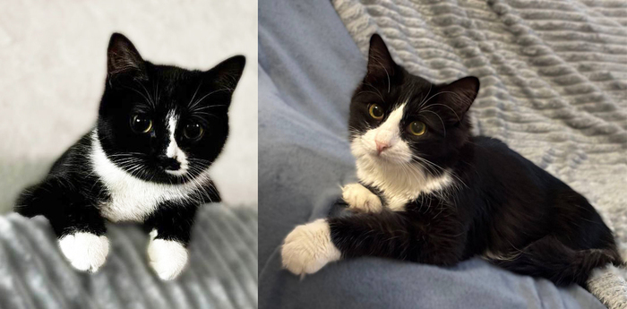 �������������� ������ ������� � ����� ���� ��� !