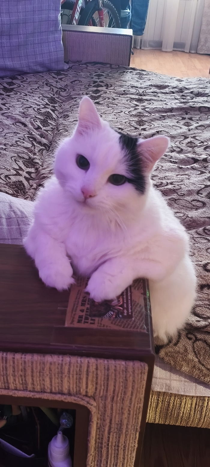 Забавно уселся и сидел так минут пять. Не мог не сфотать.