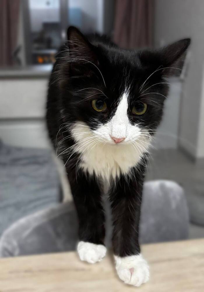 �������������� ������ ������� � ����� ���� ��� !