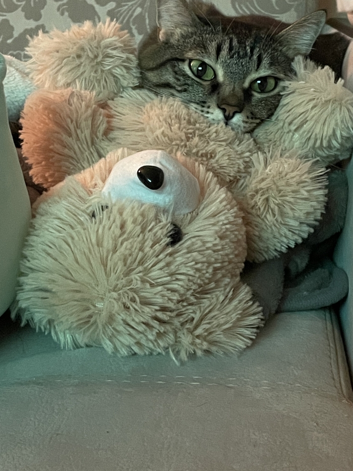 ����� �� �����