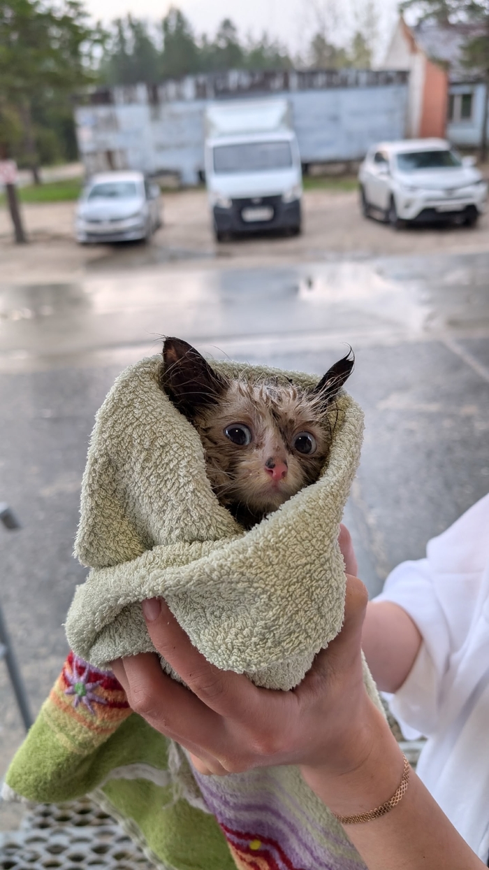 ����� ��� ��������� ��-��� �������