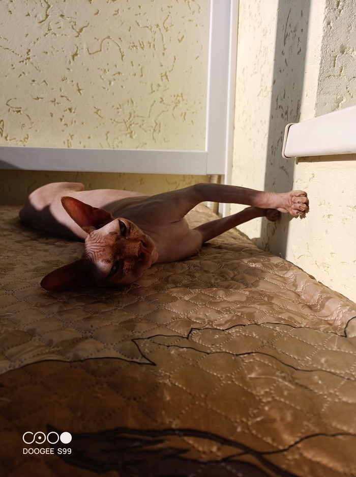 �� ��������� ���