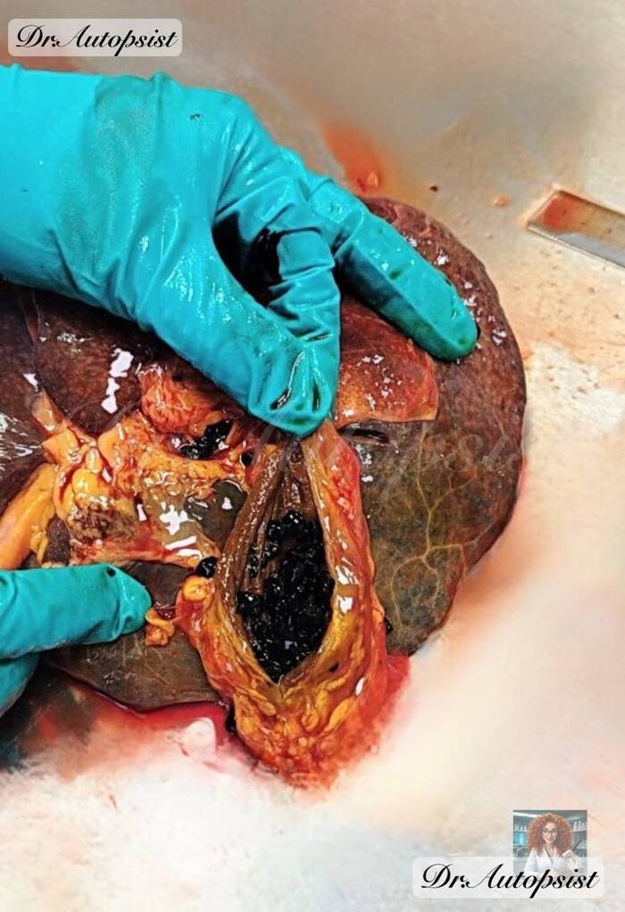 ���� ������!