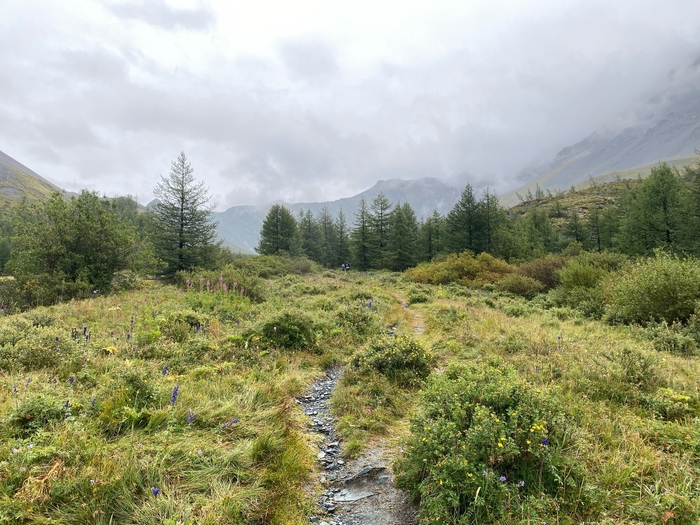 �� ������ � ����� ������