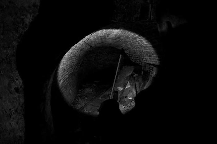 ���� �� ����������� ���������� �������