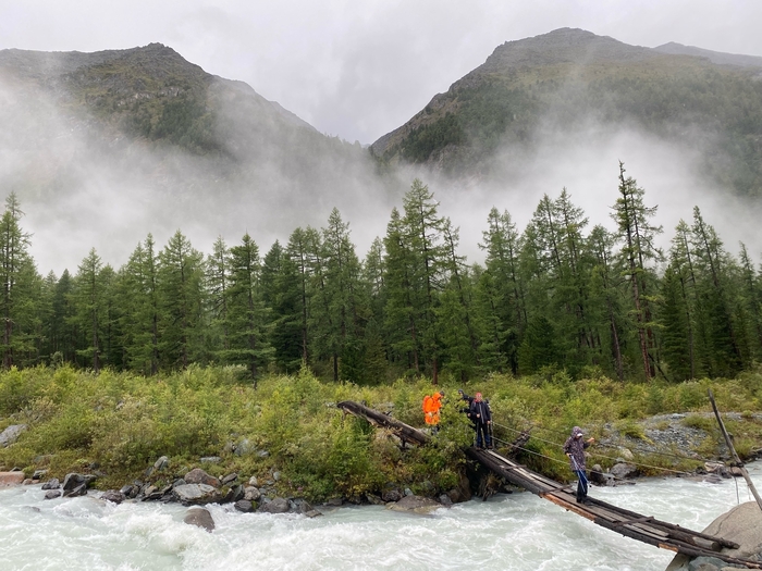 ������� ���� ����� - ������ ����