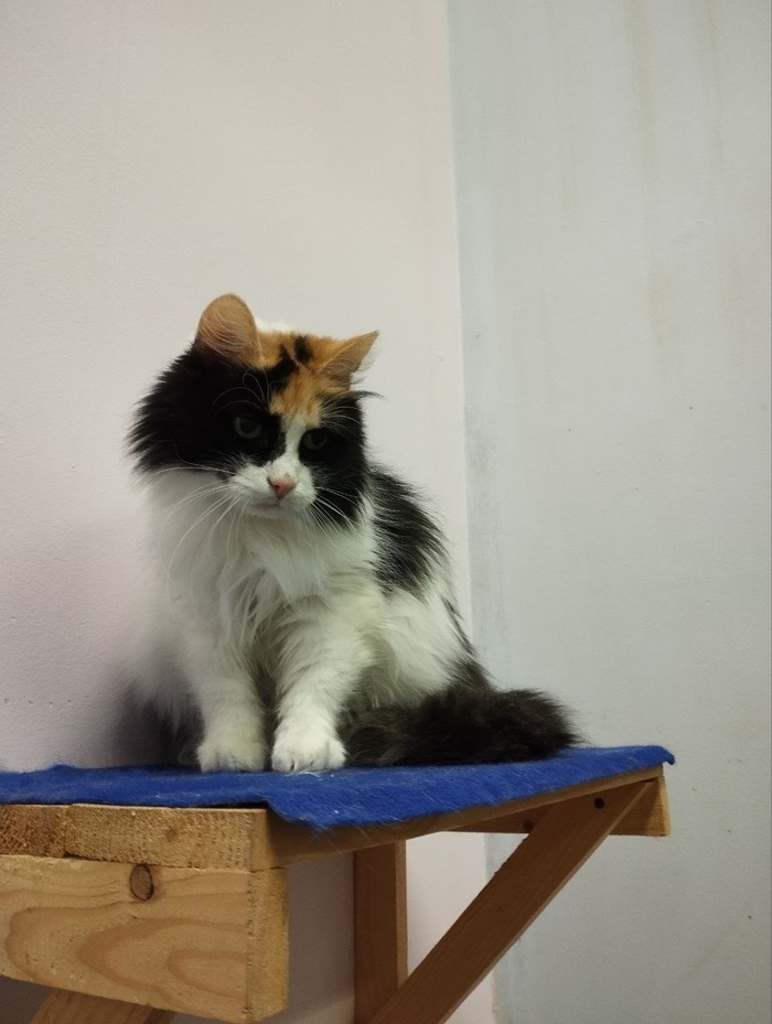 ���� 9-�� ������ 2026