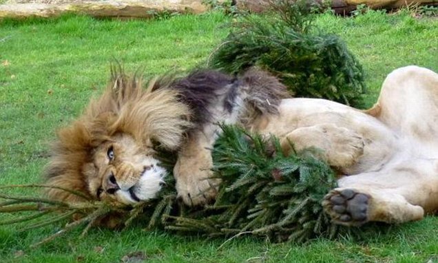 ���� ���������� ����, ��� ������� � ��������� ����������.