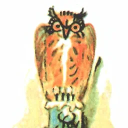 Guamokolatokint6