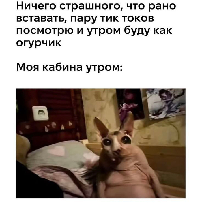 ������ ������� � 5 ����