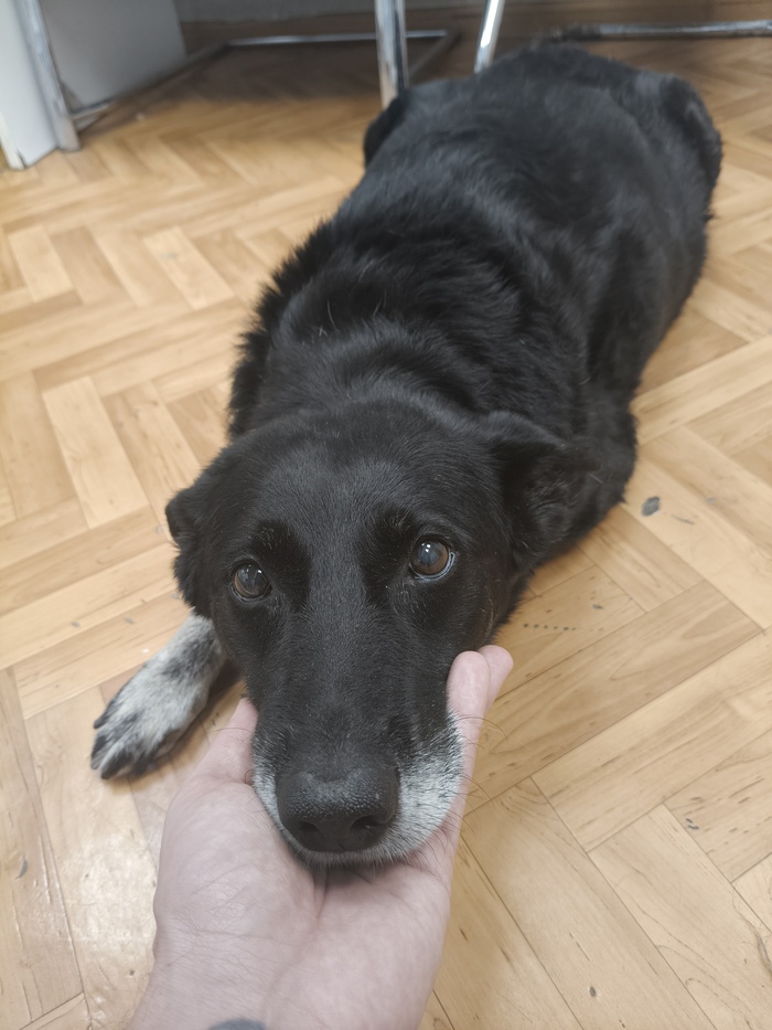 ��������� ����