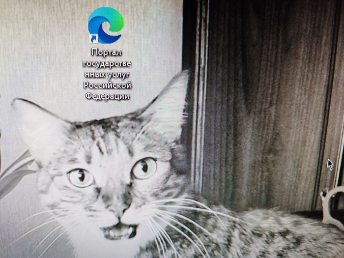 � ����� � ��� ��������?