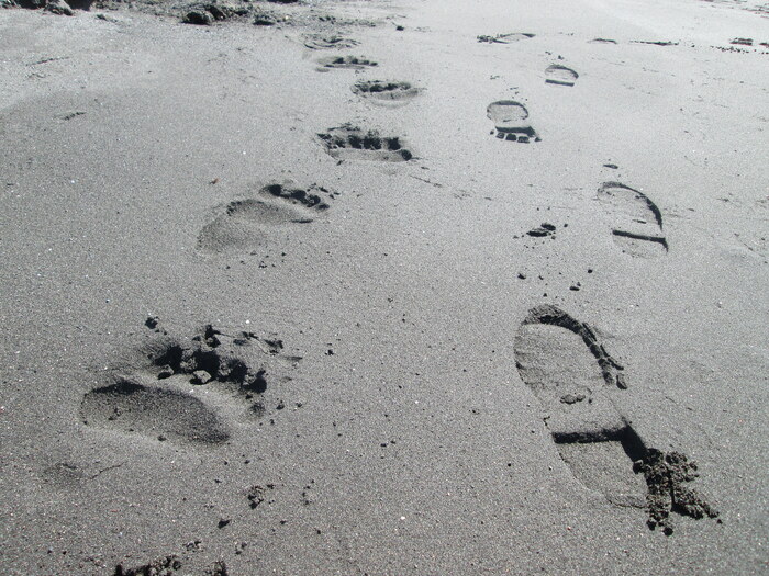 уже проснулся