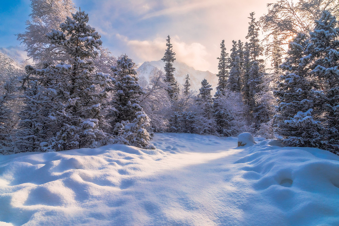 ����: ����� ���������� <a href="https://pikabu.ru/story/zimnee_utro_13628717?u=https%3A%2F%2Frtraveler.ru%2Fphoto%2F1480941%2F%3Fnew_photos%3D1&t=%D0%BE%D1%82%D1%81%D1%8E%D0%B4%D0%B0&h=1dd196e597f8d1971dd595a9f6f5f5496d1c79c7" title="https://rtraveler.ru/photo/1480941/?new_photos=1" target="_blank" rel="nofollow noopener">������</a>