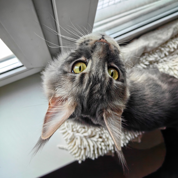 17 дробь пятьдесят четыре