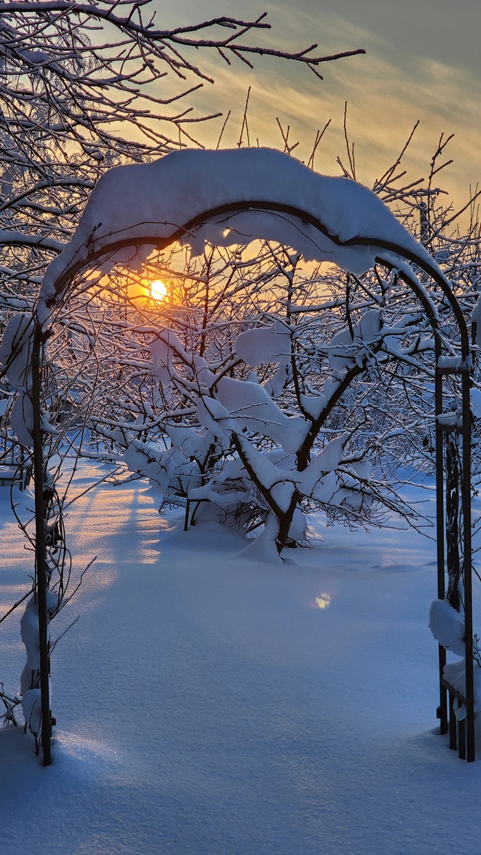 Вечер в саду