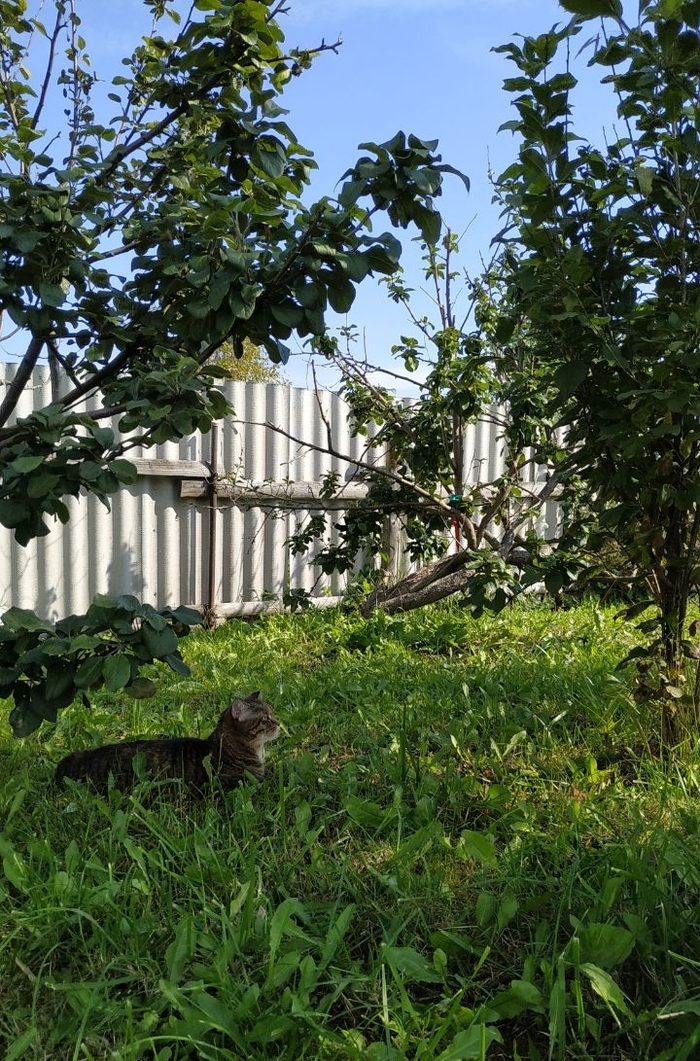 ������. 14 �������� 2024