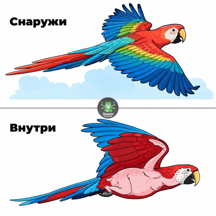 ��� ���������� ��� ������� ��������