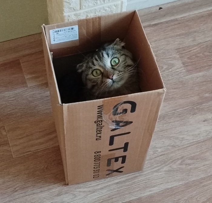 �� �� ��������� � ������(� ������ �� ������, �� �������-��), �� ����� �������� � ��� ��������� ���������� ������. ��� ����.