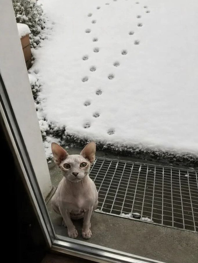 Проверка связи с реальностью