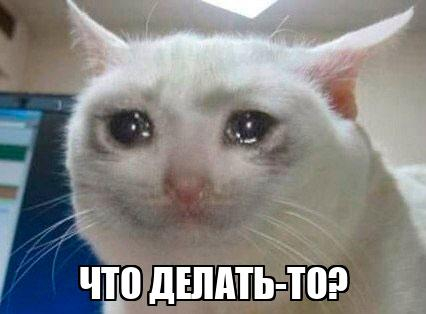 � ������ ������ ��������� ���