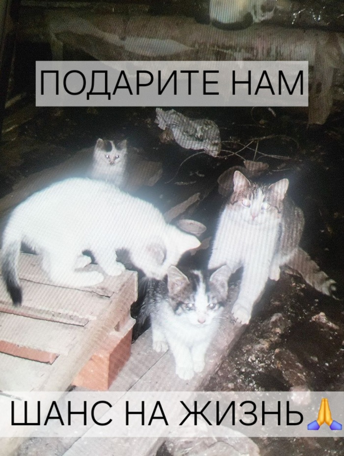 ����� � ������� �� �� ������