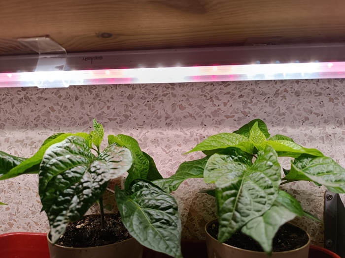 ��������� �������� � ����������� �������.