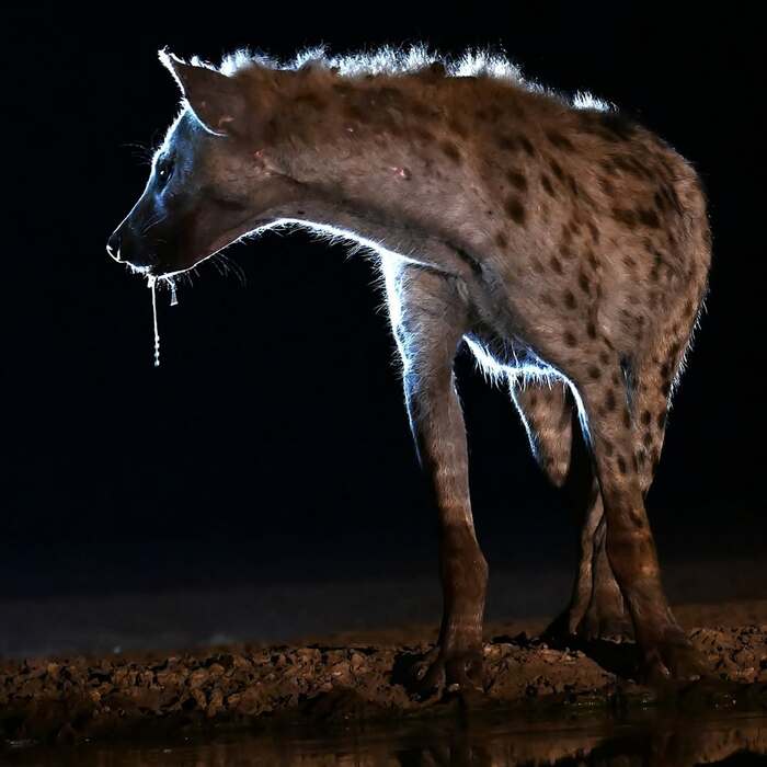 ����� ������