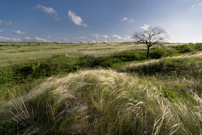 ������� ��������